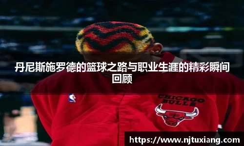 龙8国际官网